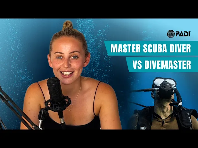 Download MP3 Master Scuba Diver vs. Divemaster - Which way? 🤔