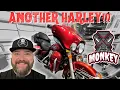 Download Lagu Ik heb een andere Harley gekocht, maar het is toch niet de mijne?