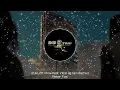 Peter Fox - Zukunft Pink (feat. Inez) [DJ Tani Remix] Slap House