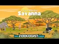 Savanna Ecosystems How Plants and Animals Survive on the Savanna