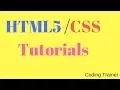 HTML5 Tutorial For Beginners HTML Form with radio button input