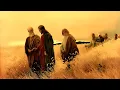 MATTHEW 12-13 The Sower