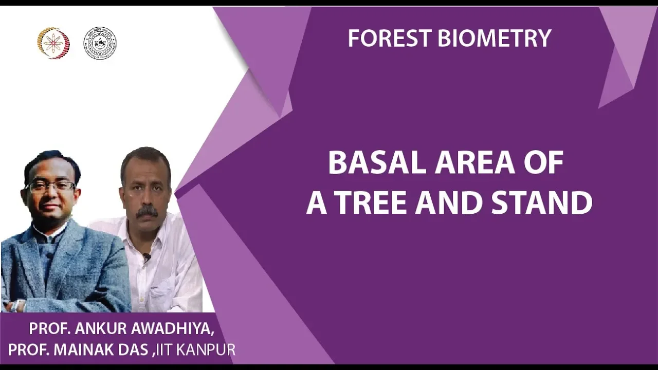 Basal area of a tree and stand
