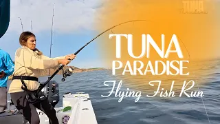 Flying Fish Run in Tuna Paradise - Catch and Release. Popping in the Strait of Gibraltar