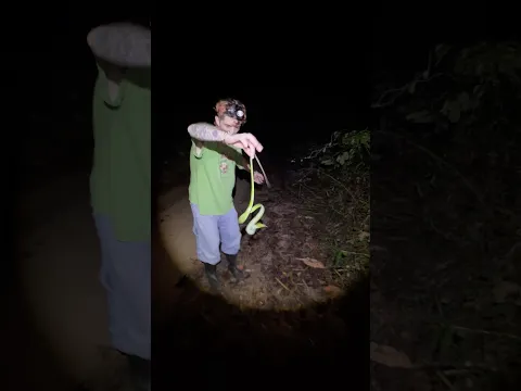 Would you risk holding this snake?
