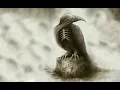 Download Lagu In Flames – Sounds Of A Playground Fading (HQ)
