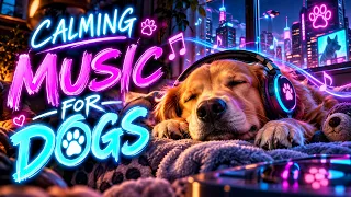 The Most Relaxing Music for Dogs 🐶💤