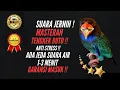 Download Lagu PALING DICARI !! SUARA JERNIH ! MASTERAN TENGKEK BUTO ANTI STRES !! JEDA AIR 1-3 MENIT !! GARANSI !!
