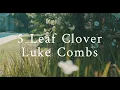 【Lyrics / 和訳】 5 Leaf Clover - Luke Combs