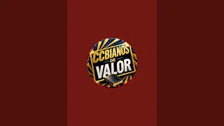 CCBIANOS DE VALOR está ao vivo!PROCESSO em CRITICO O mal da INTERNET