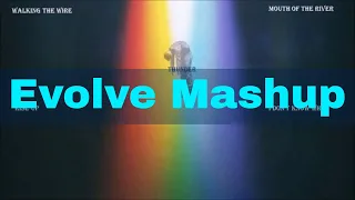 Download Evolve mashup - Imagine Dragons, By Joel James (Lyrics) MP3