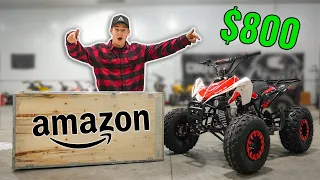 Testing 800 Amazon Quad It gets Destroyed