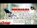 Download Lagu KONIN GACOR FULL ISIAN VARIASI BURUNG GEREJA DAN CUCAK JENGGOT KASAR PAS BUAT PANCINGAN DAN MASTERAN