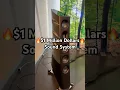 Download Lagu $1 Million Dollars Sound System 🔥 Denmark Audio Group HiEnd Setup #audiophile #hiend #hifi #audio