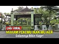 Download Lagu Aneh.! Makam Penemu Ikan Mujair Viral Di Jawa Timur