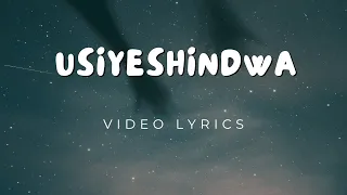 Usiyeshindwa Mataifa Yote Yanakufahamu Lyricsvideo Sarah K 