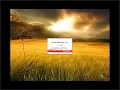 connect sql server from jdeveloper