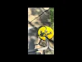 8E7C6371 2CA9 453E 925A 0F1DC56B4634