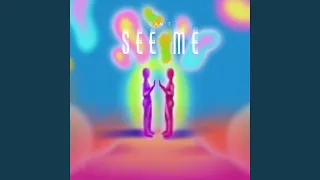 cant see me feat dj him 