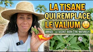 Tu bois ça pour dormir sans savoir ce que ça fait vraiment à ton cerveau
