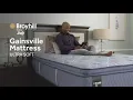 Broyhill by Sealy Gainsville Mattress