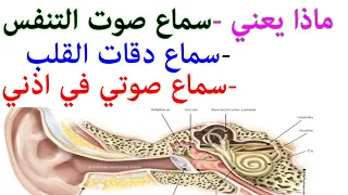 سماع صوتي ودقات القلب والتنفس في اذني 