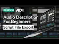 Export Description Script Files SRT DOCX XLSX CSV