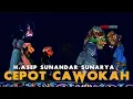 Download Lagu Asep Sunandar Sunarya Giriharja 3 - Cepot Cawokah