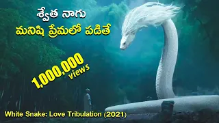 white snake love tribulation 2021 