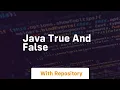 java true and false