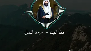 muath aleid surah an naml