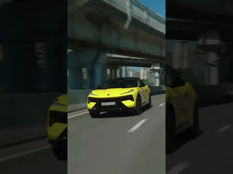 D3 Lotus For Me