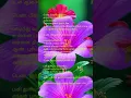Download Lagu செவியோடு தான்காதல் சொல்வாய் என்பேனே #song #music #love #tamilsong #melody
