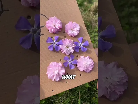Flowers Turned Into Something Beautiful 🌸❤️