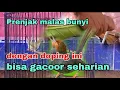 Download Lagu Cara mengatasi prenjak yang malas bunyi atau kurang gacor || di jamin gacor seharian