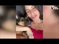 Special Rescue Dog Has Very Special Love Language For Her Kittens | The Dodo