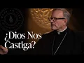 Download Lagu ¿Dios Nos Castiga? — Sermón del Domingo del obispo Robert Barron