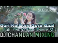 Download Lagu Gori Ke Gore Gore Gaal(Chhattisgarh Dance Demand Mix) DJ CHANDAN