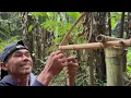 2 DAYS OF NON-STOP RAIN THUNDER// Struggling to build a shelter Bamboo Fishing, shrimp, fish.