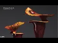 Download Lagu FABRICLIVE. 93 - Daphni (2017) [Continuous Mix]