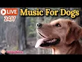 Lagu 🔴[LIVE] Dog Music 🐶🎵Calming Music for Dogs 🐶🎵Separation Anxiety Relief💖🦮Dog Deep Sleep Music🔴21