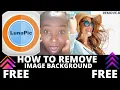 Remove Background Image from Photographs and Designs for Free Lunapic vs Remove bg