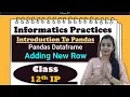 Class - Informatics Practices Pandas