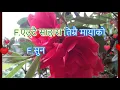 Download Lagu SUNA BHANA NA Karaoke with lyrics