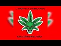 L-Gante X DT.Bilardo - MALIANTEO 420 (Vol. 1 & 2) - Cumbia 420