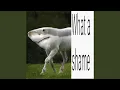 Download Lagu Camel