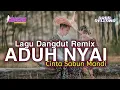 Download Lagu Lagu Dangdut Terbaru 2021-ADUH NYAI - Arga Dellano Remix