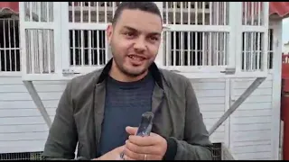 الحمام الفائز بالرتبة 3 7 9 11 12 للبطل هشام ربو 