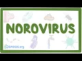 Norovirus - oorzaken, symptomen, diagnose, behandeling, pathologie