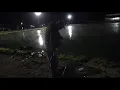 fishing a tournament at shortys paylake